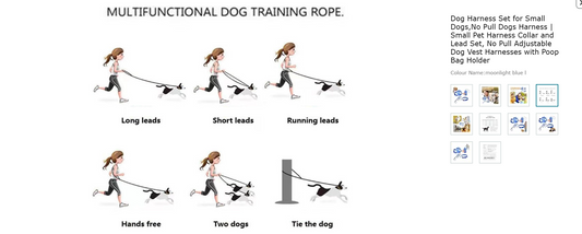 Dog Harness Set for Small Dogs,No Pull Dogs Harness | Small Pet Harness Collar and Lead Set, No Pull Adjustable Dog Vest Harnesses with Poop Bag Holder