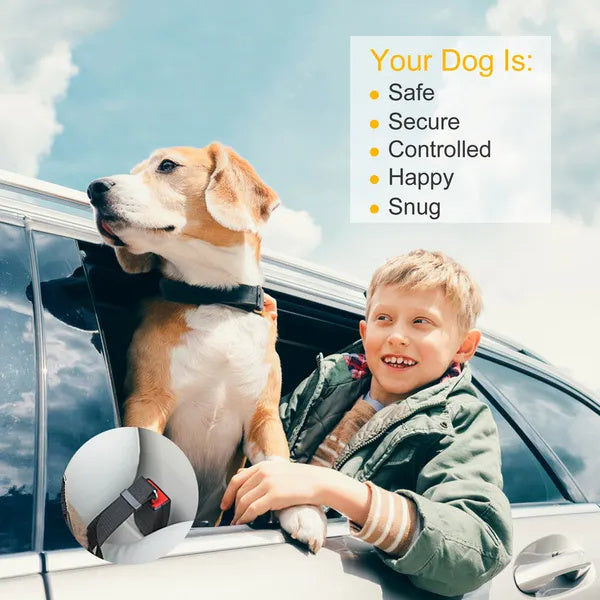 2-Pack Dog Seat Belt Harness – Adjustable Car Safety Lead”).